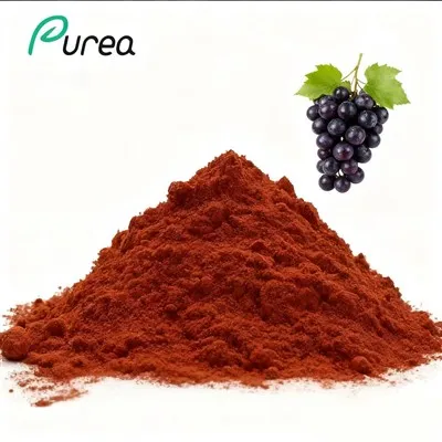 Extrato de semente de uva em pó 84929-27-1