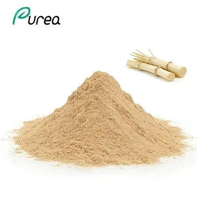 Pó de extrato de raiz de Imperata Cylindrica