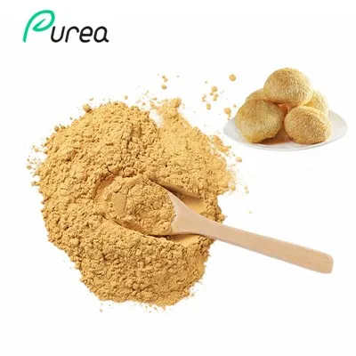Pó de extrato de cogumelo juba de leão orgânico