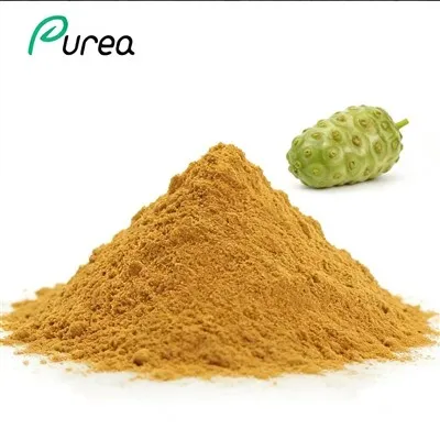 Fruta Noni Orgânica em Pó