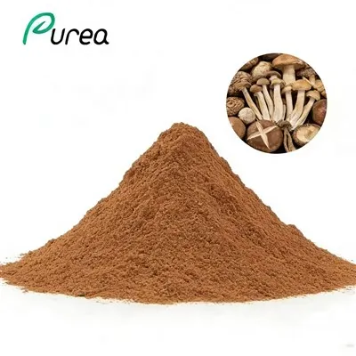 Pó de mistura de extrato de cogumelo orgânico