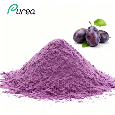 Pó de extrato de fruta de ameixa
